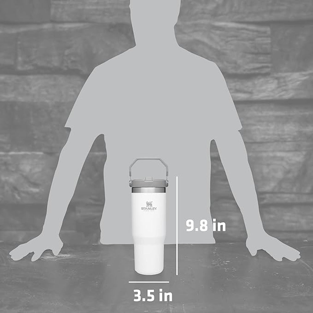 Stanley IceFlow Flip Straw Vacuum Insulated Stainless Steel Tumbler - Forza Sports