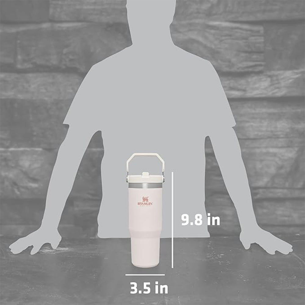 Stanley IceFlow Flip Straw Vacuum Insulated Stainless Steel Tumbler - Forza Sports