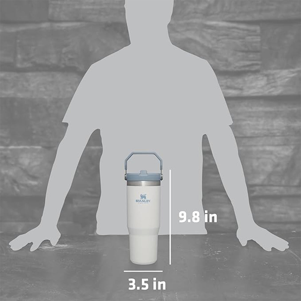 Stanley IceFlow Flip Straw Vacuum Insulated Stainless Steel Tumbler - Forza Sports