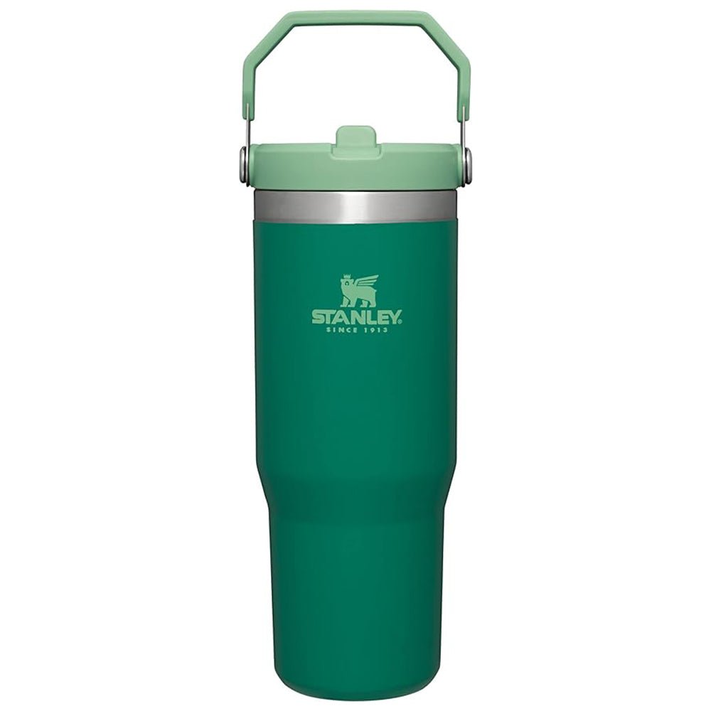 Stanley IceFlow Flip Straw Vacuum Insulated Stainless Steel Tumbler - Forza Sports