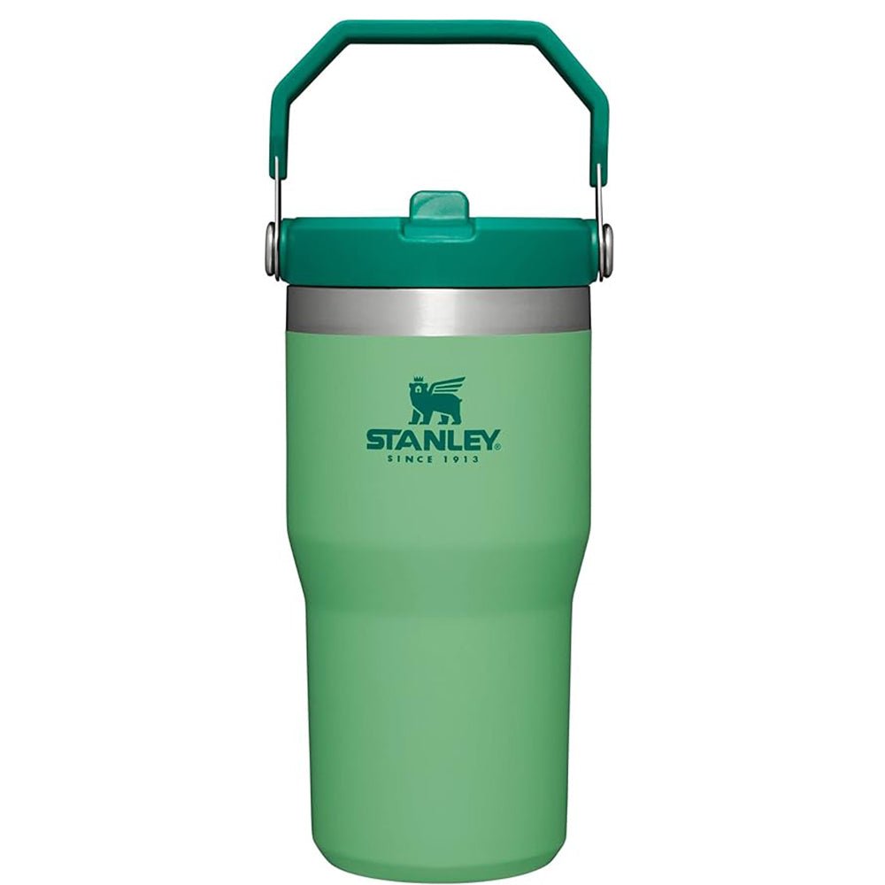Stanley IceFlow Flip Straw Vacuum Insulated Stainless Steel Tumbler - Forza Sports
