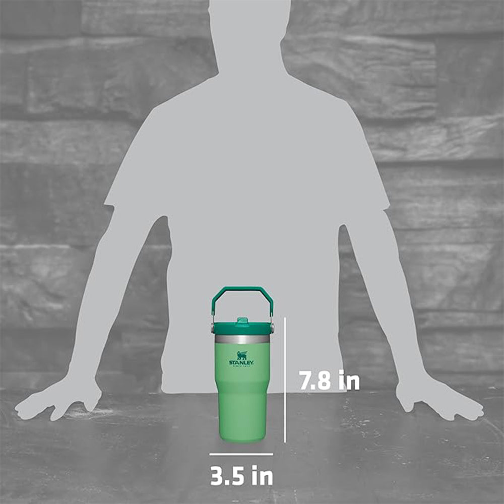 Stanley IceFlow Flip Straw Vacuum Insulated Stainless Steel Tumbler - Forza Sports