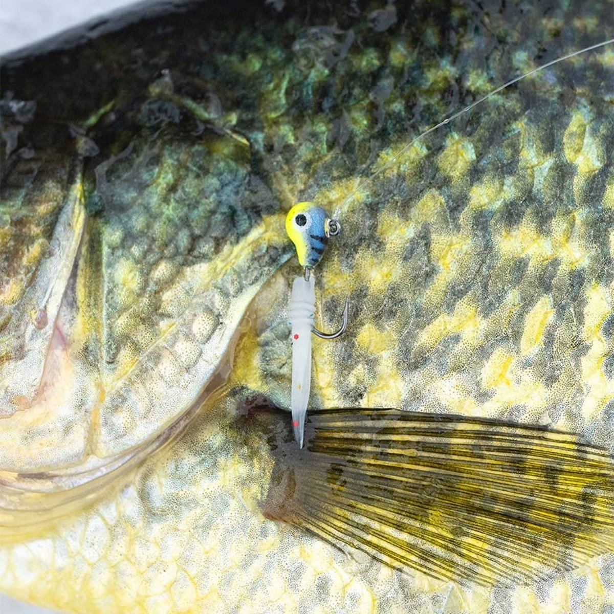 13 Fishing Madpole 31mm, Purple Rain - Forza Sports