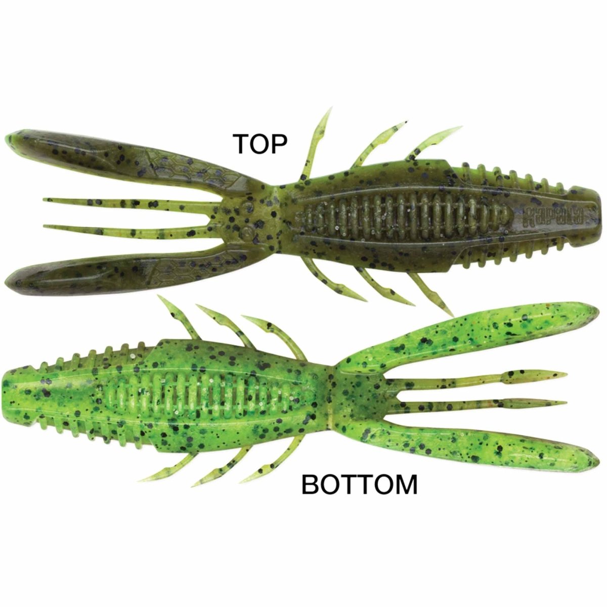 Rapala CrushCity Bronco Bug 4" Fishing Soft Bait - Forza Sports