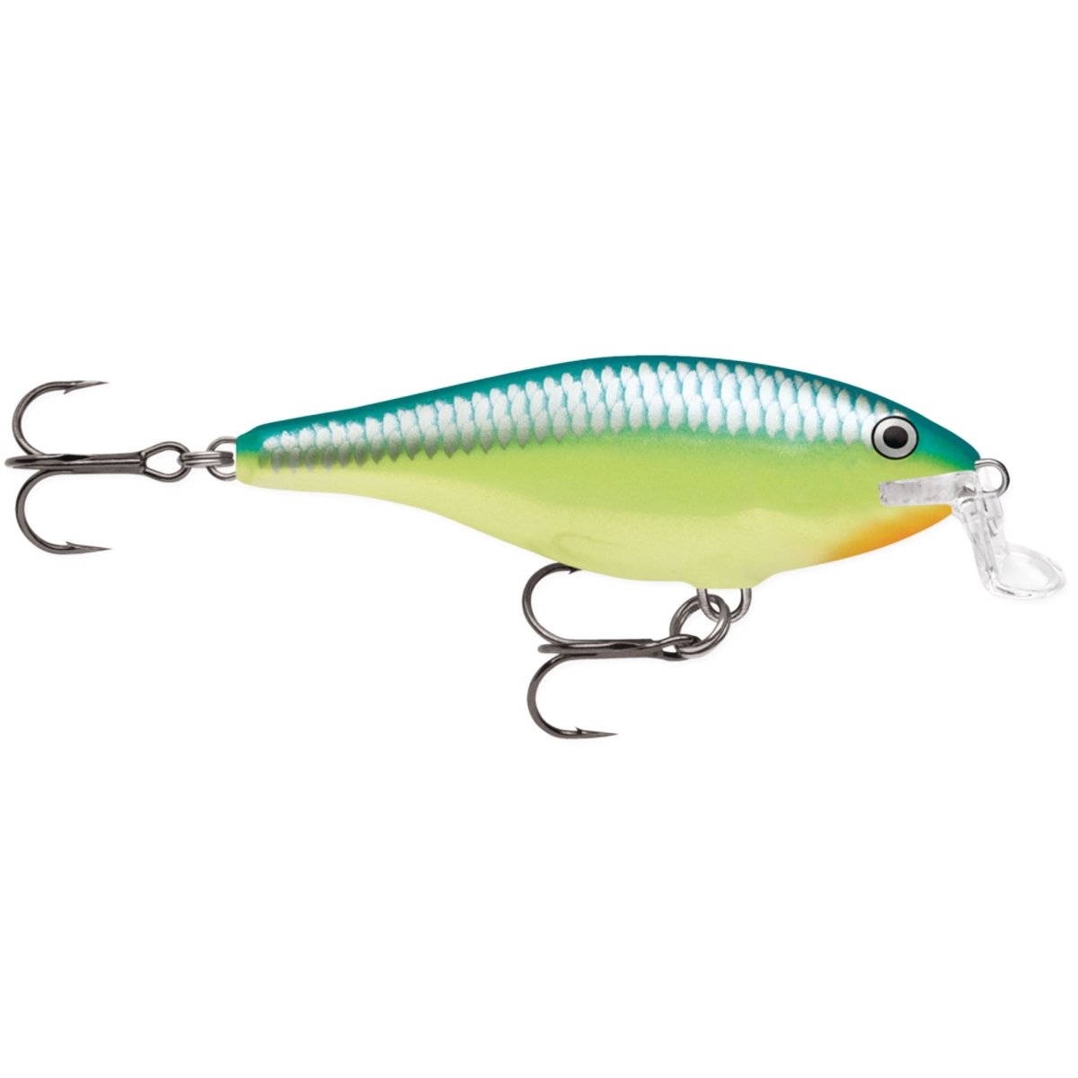 Rapala Shallow Shad Rap 05, Fishing Lure - Forza Sports
