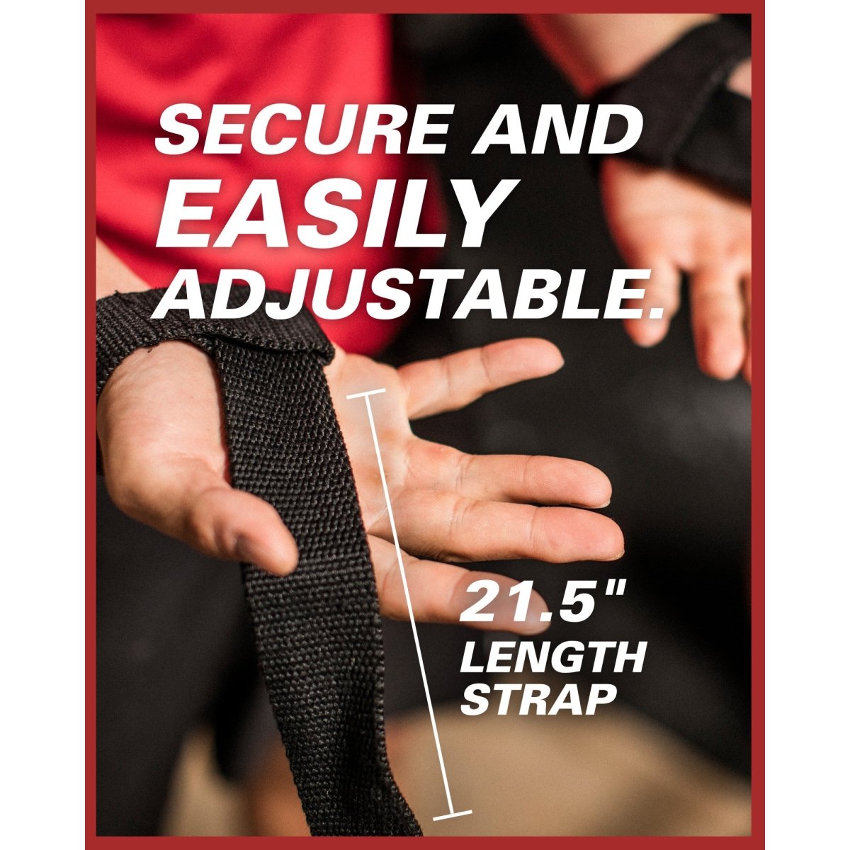 Harbinger Padded Weight Lifting Straps - Forza Sports