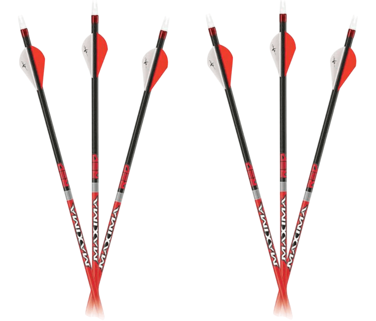 Set of four maxima red shafts with white fletchings on a white background