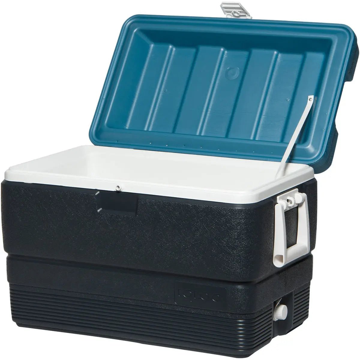 IGLOO MaxCold 50 qt. Hard Cooler - Jet Carbon/Ice Blue IGLOO