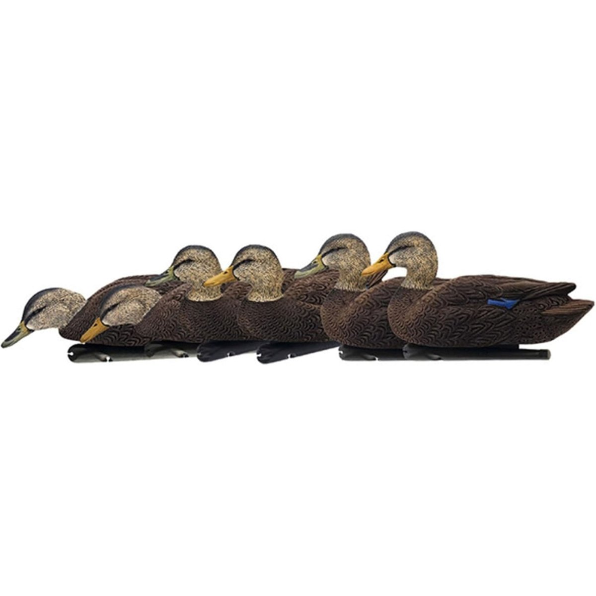 Avian X Topflight Mallards Flocked Black Ducks Pack of 6 Floating Decoys - Forza Sports