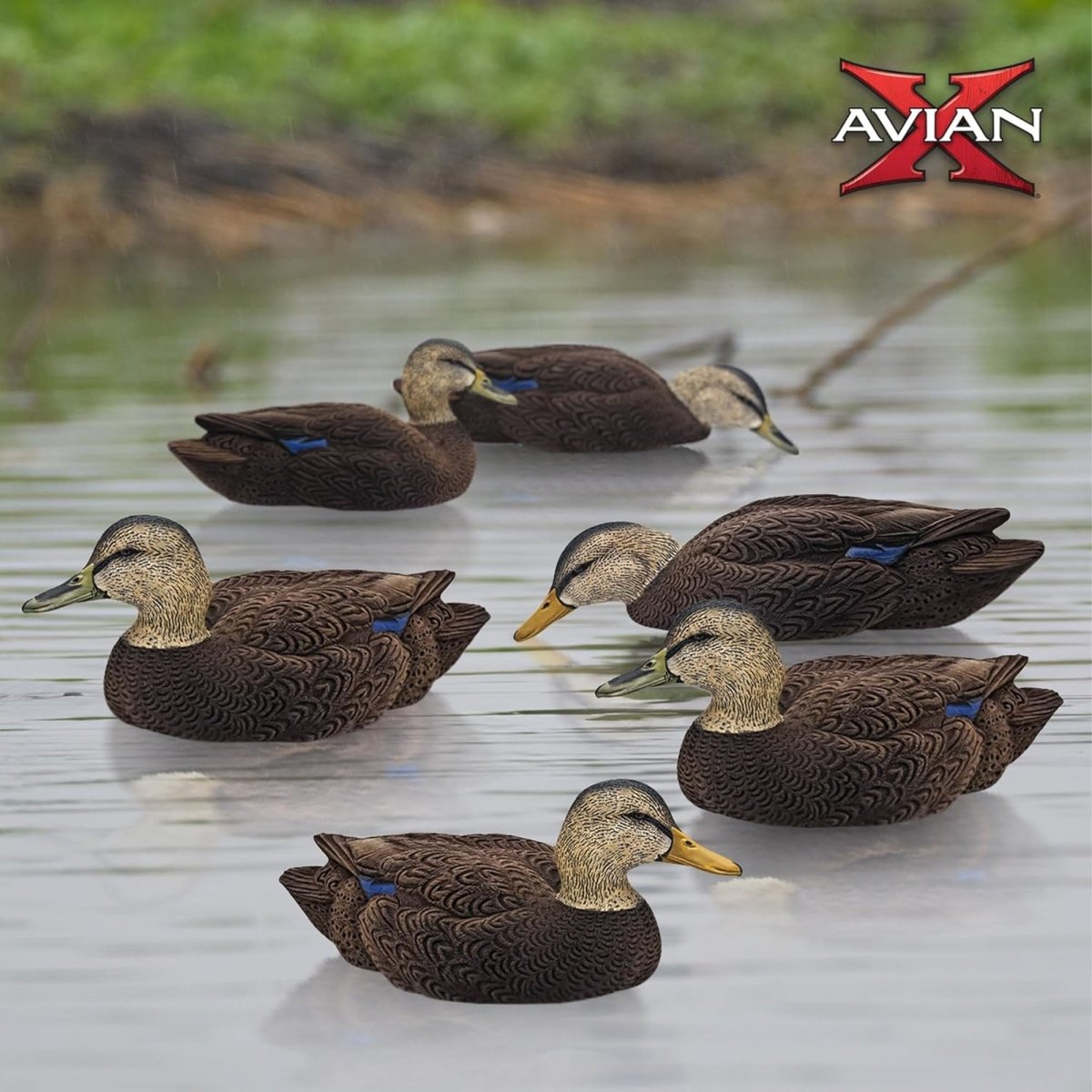 Avian X Topflight Mallards Flocked Black Ducks Pack of 6 Floating Decoys - Forza Sports