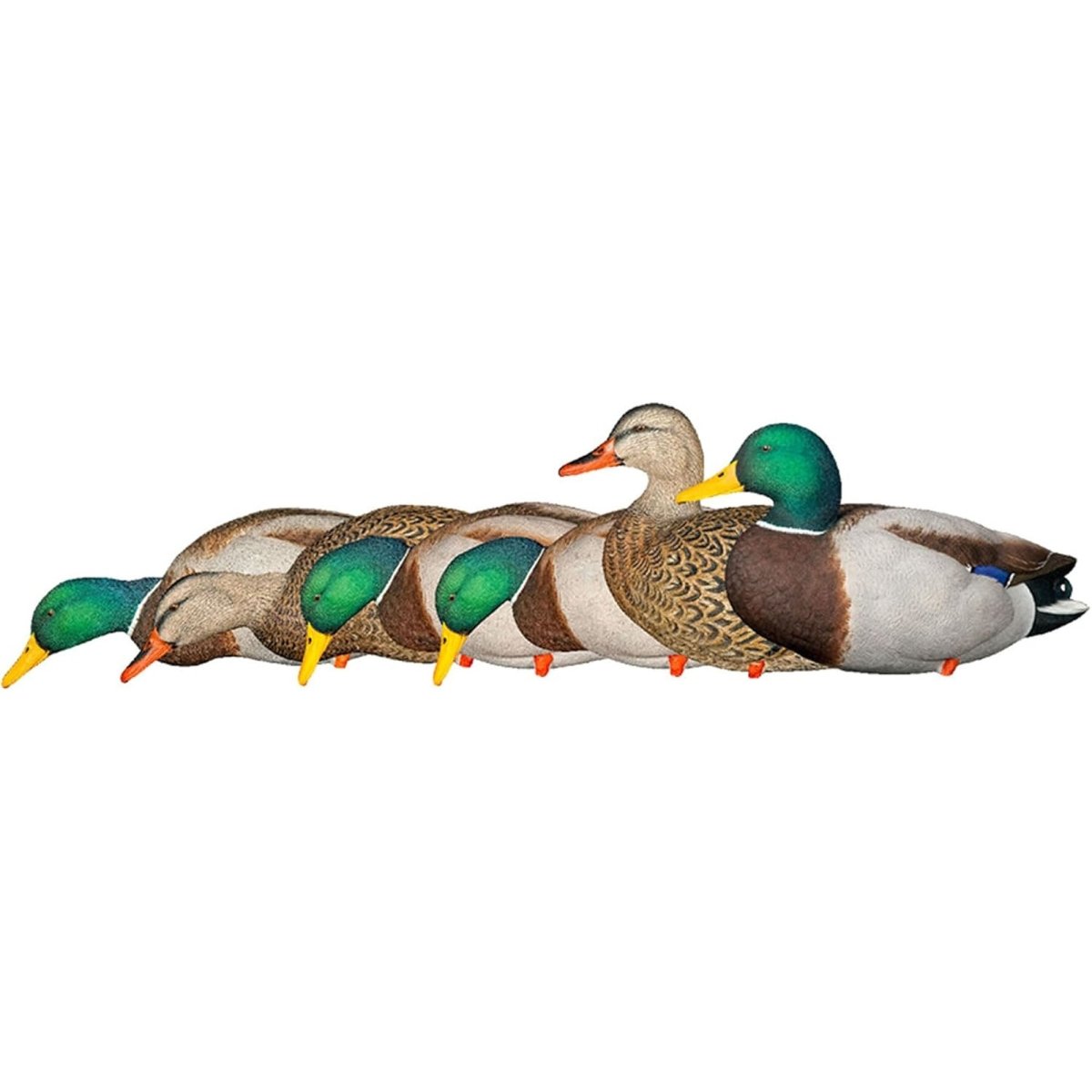 Avian X AXP Full Body Mallards Fusion Pack of 6 Decoys Includes Slot Bag and Field Stakes - Forza Sports