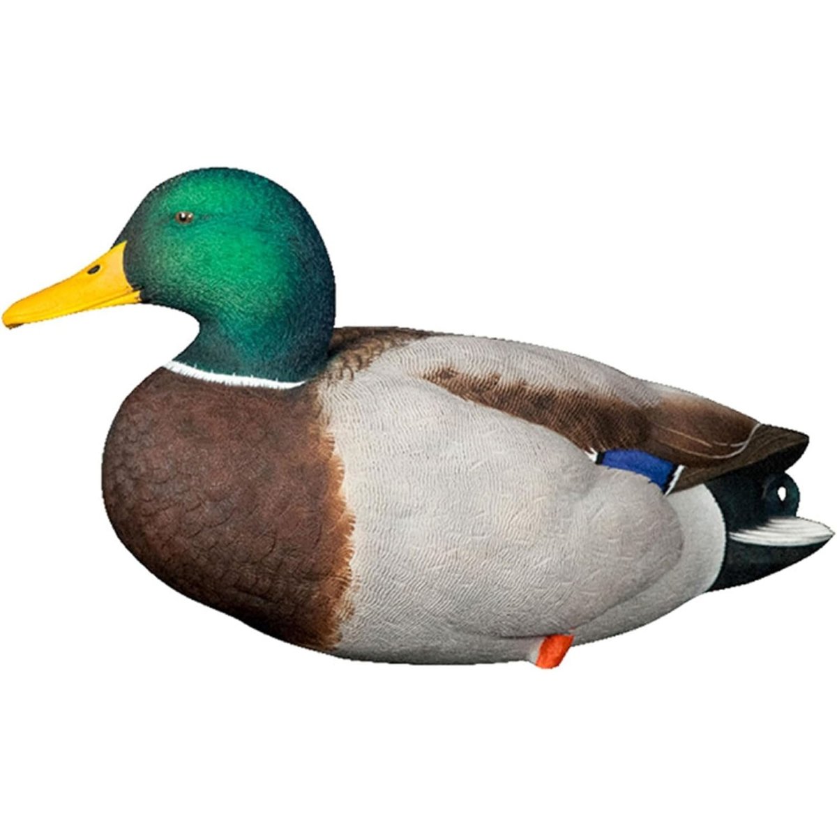 Avian X AXP Full Body Mallards Fusion Pack of 6 Decoys Includes Slot Bag and Field Stakes - Forza Sports