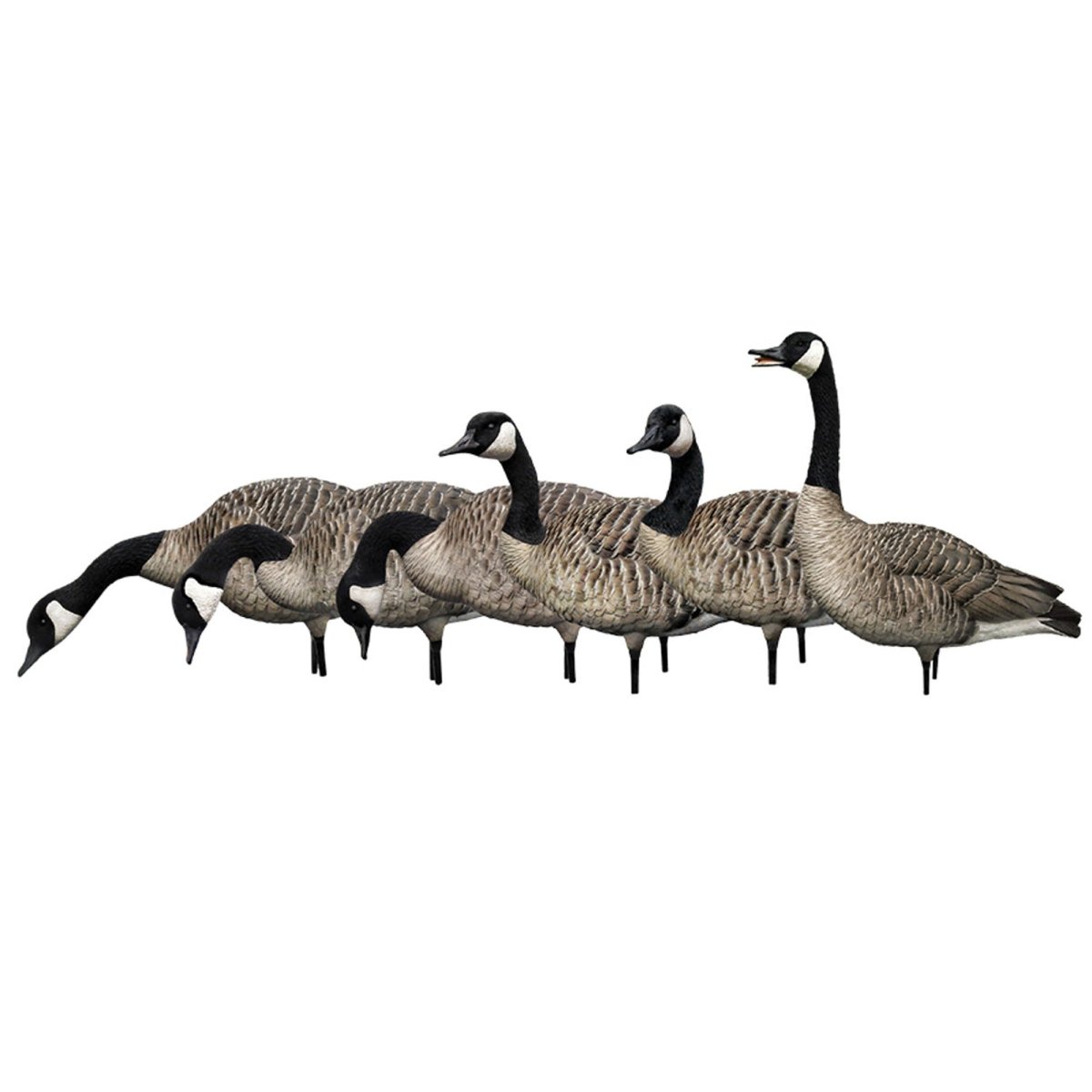 Avian X AXP Honkers: Fusion Pack of 6 Decoys - Forza Sports