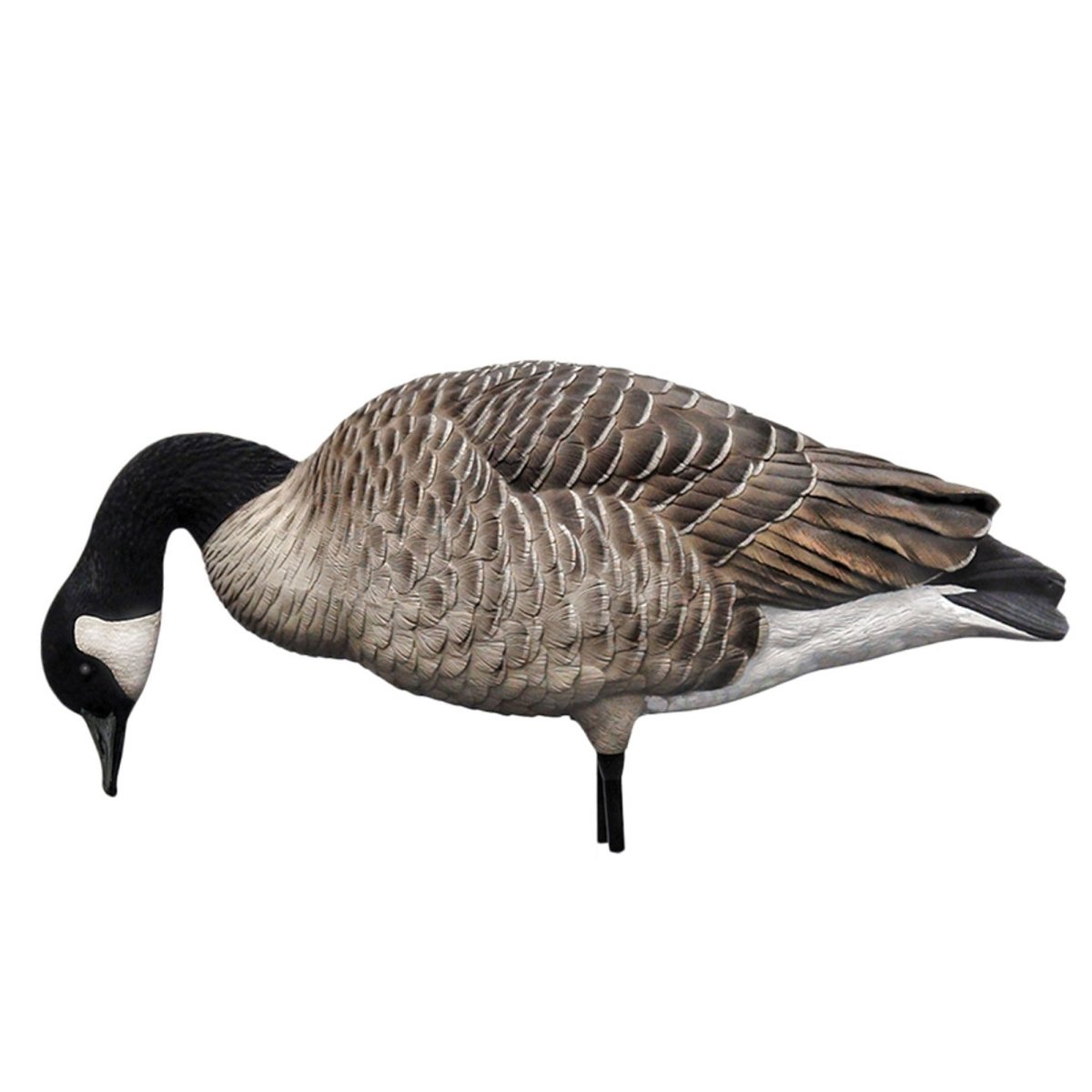 Avian X AXP Honkers: Fusion Pack of 6 Decoys - Forza Sports