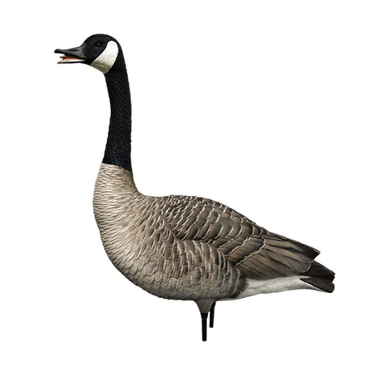 Avian X AXP Honkers: Fusion Pack of 6 Decoys - Forza Sports