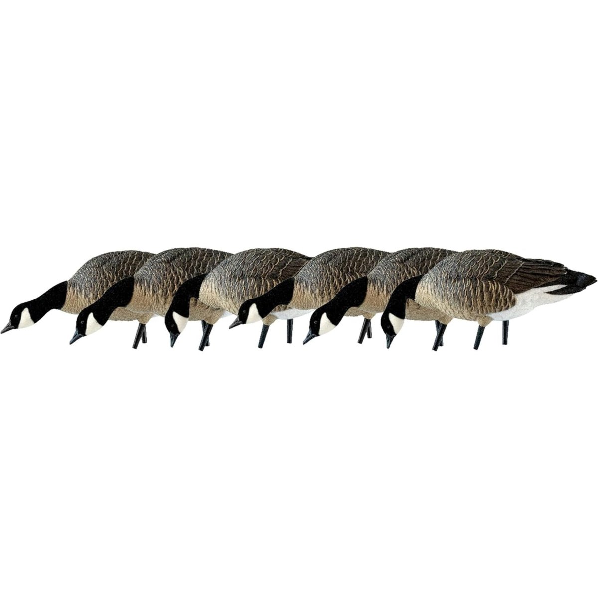 Avian X AXP Lessers : Feeder Pack of 6 Decoys - Forza Sports
