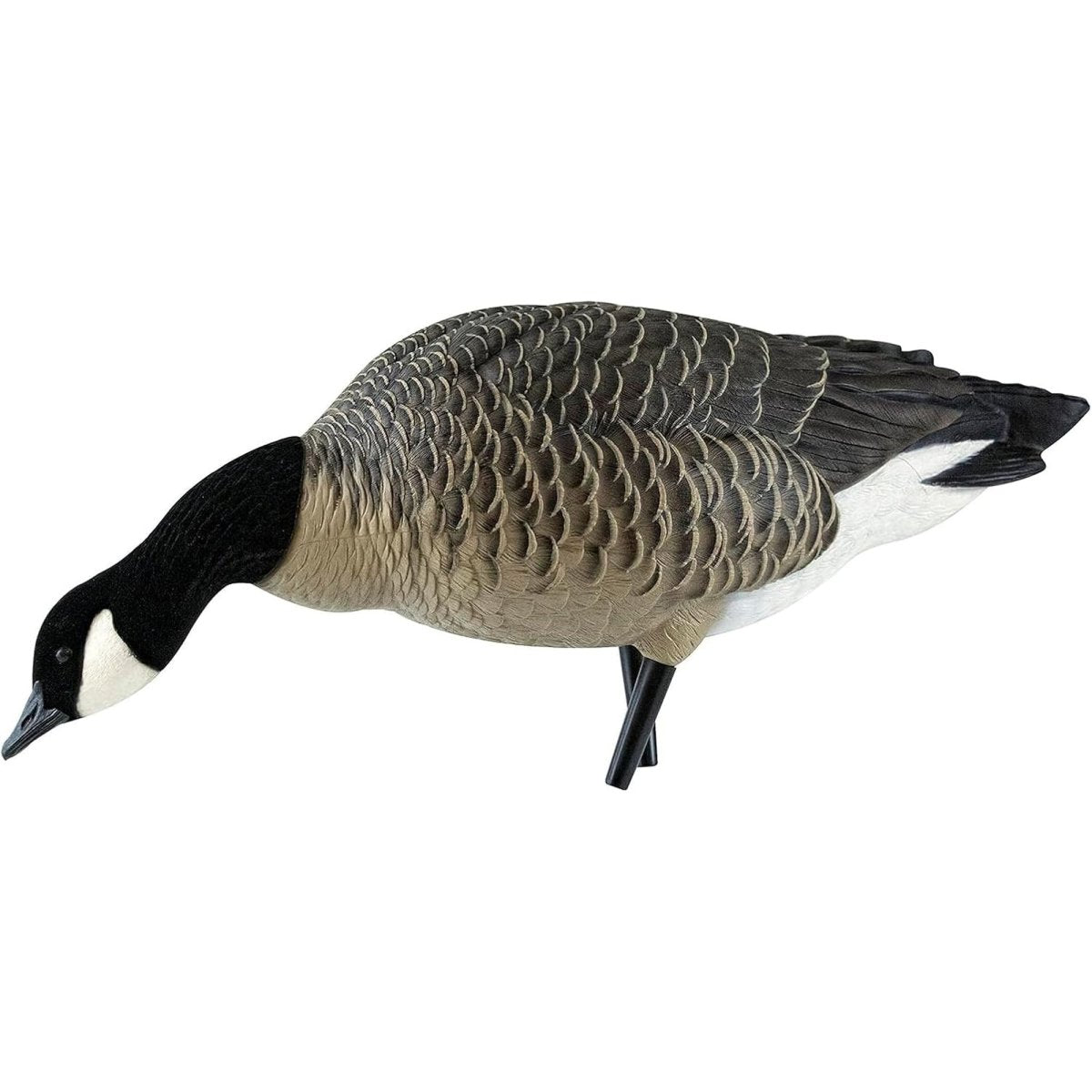 Avian X AXP Lessers : Feeder Pack of 6 Decoys - Forza Sports