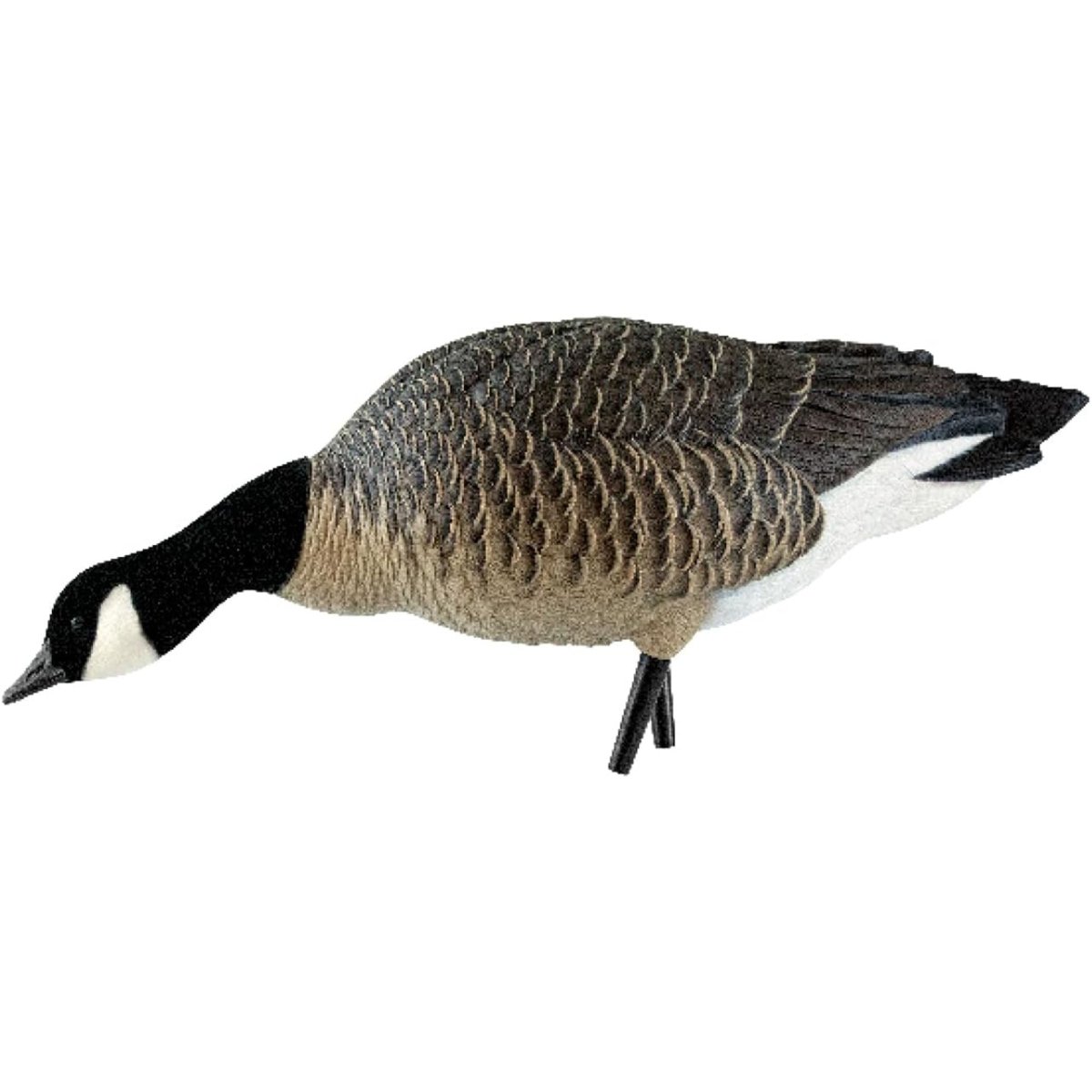 Avian X AXP Lessers : Feeder Pack of 6 Decoys - Forza Sports
