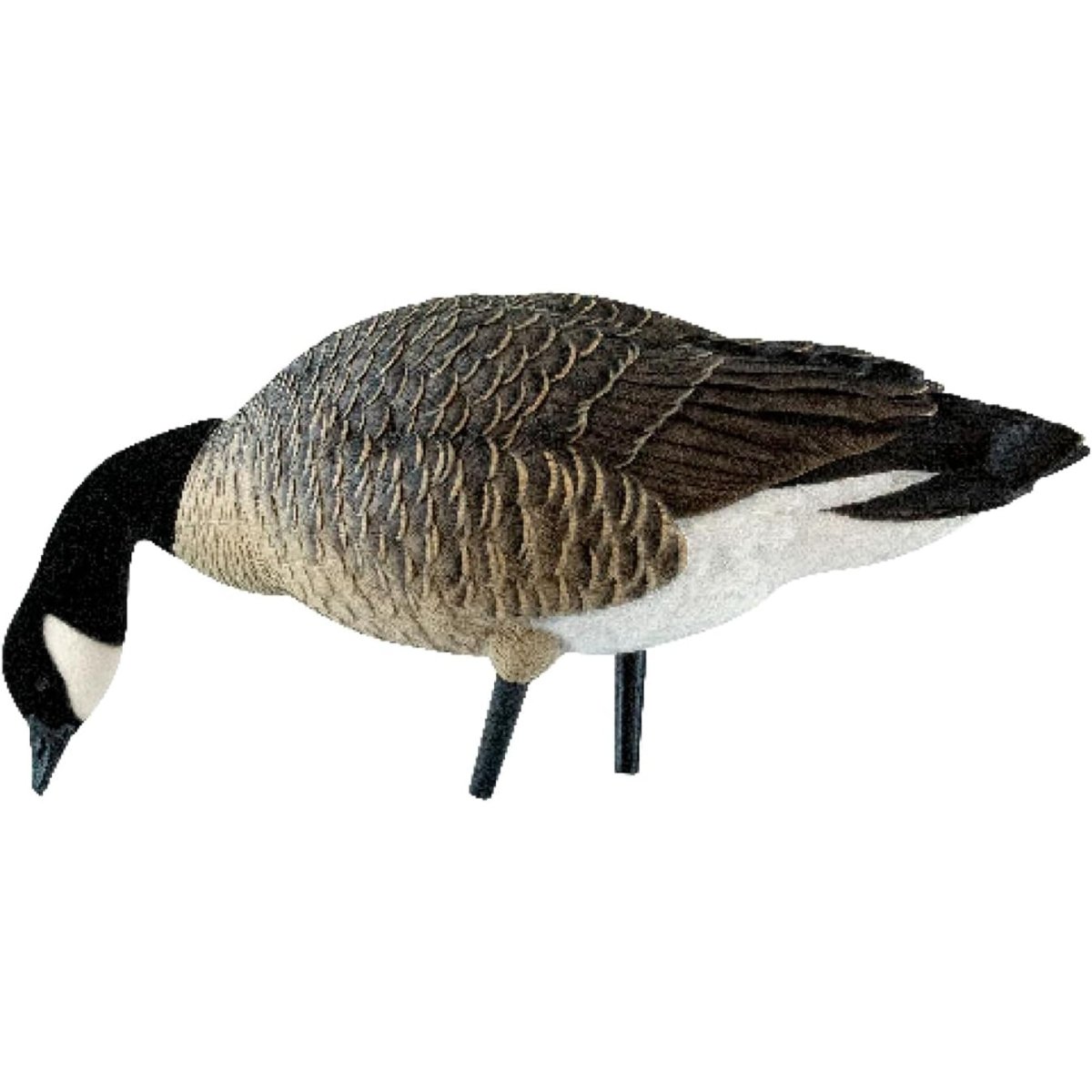 Avian X AXP Lessers : Feeder Pack of 6 Decoys - Forza Sports