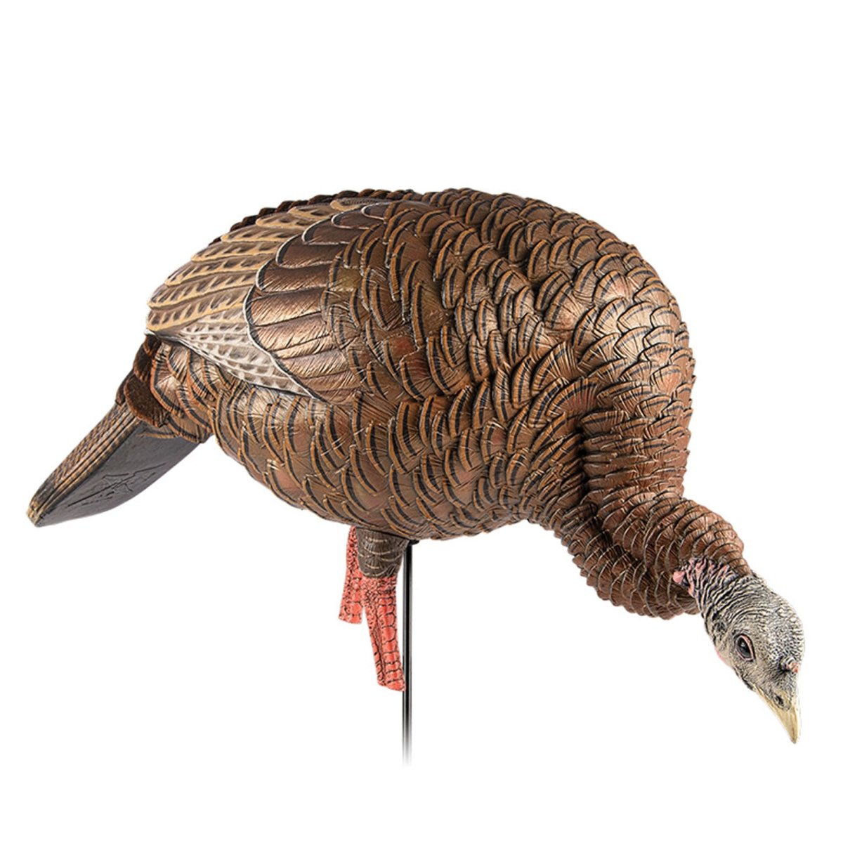 Avian X Heavy Duty Realism Feeding Hen Decoy - Forza Sports