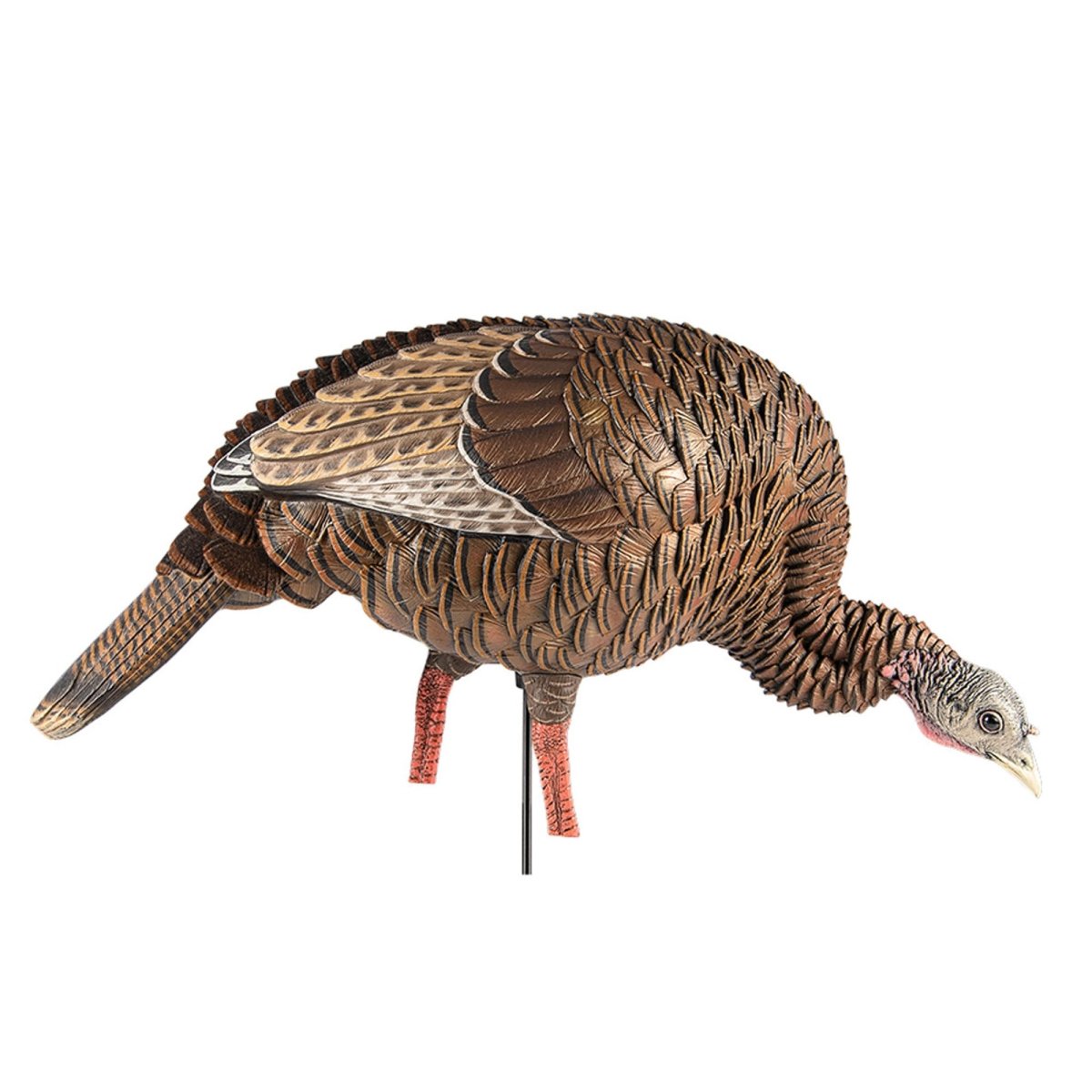 Avian X Heavy Duty Realism Feeding Hen Decoy - Forza Sports