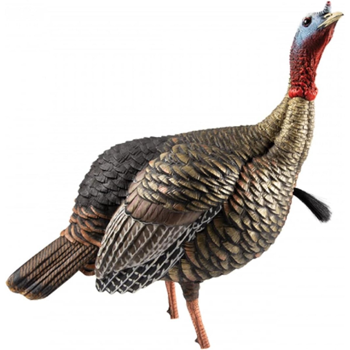 Avian X Heavy Duty Realism Jake Decoy - Forza Sports
