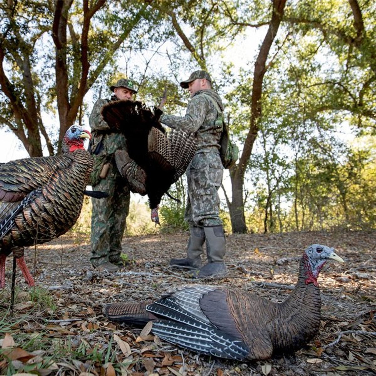 Avian X Lifelike Collapsible Decoy Laydown, Hen Decoy - Forza Sports