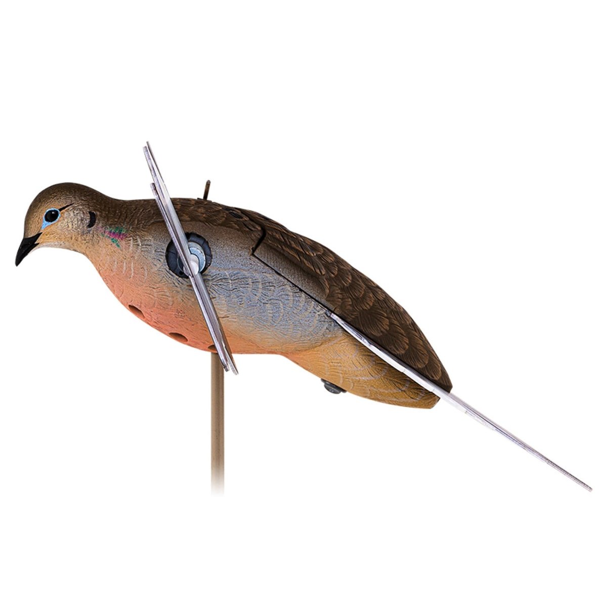 Avian X Powerflight Spinning Wing Dove - Forza Sports