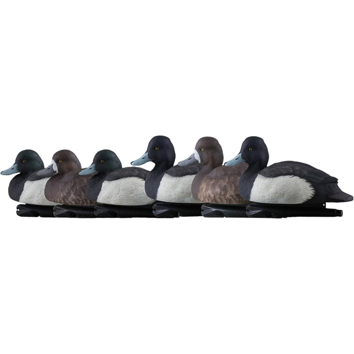 Avian X Topflight Bluebills Pack of 6 Floating Decoys - Forza Sports