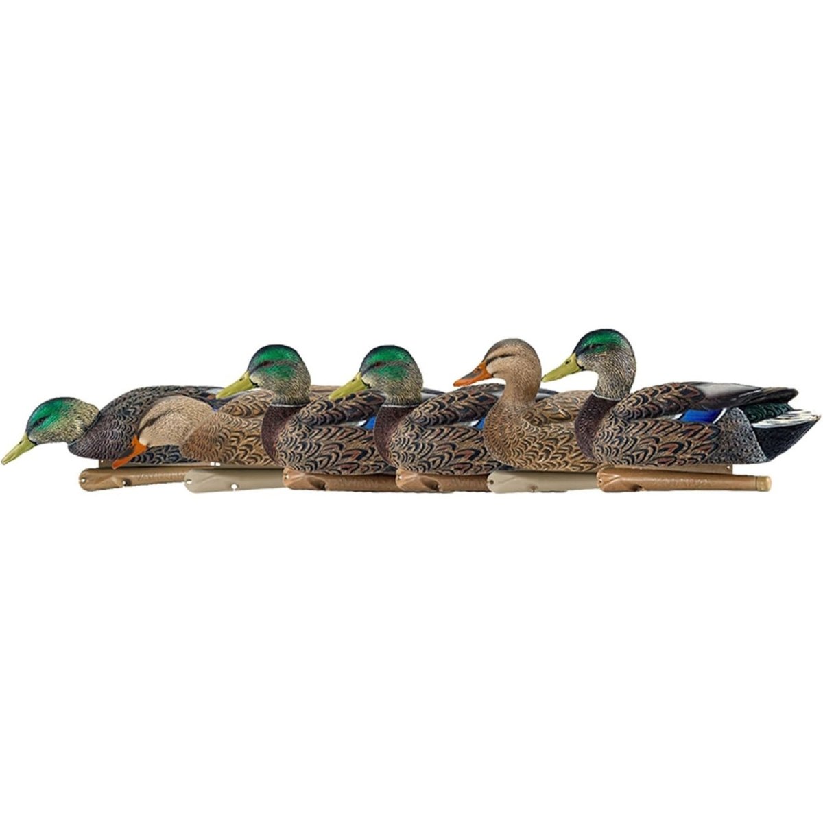 Avian X Topflight Mallards Early Season Pack of 6 Floating Decoys - Forza Sports