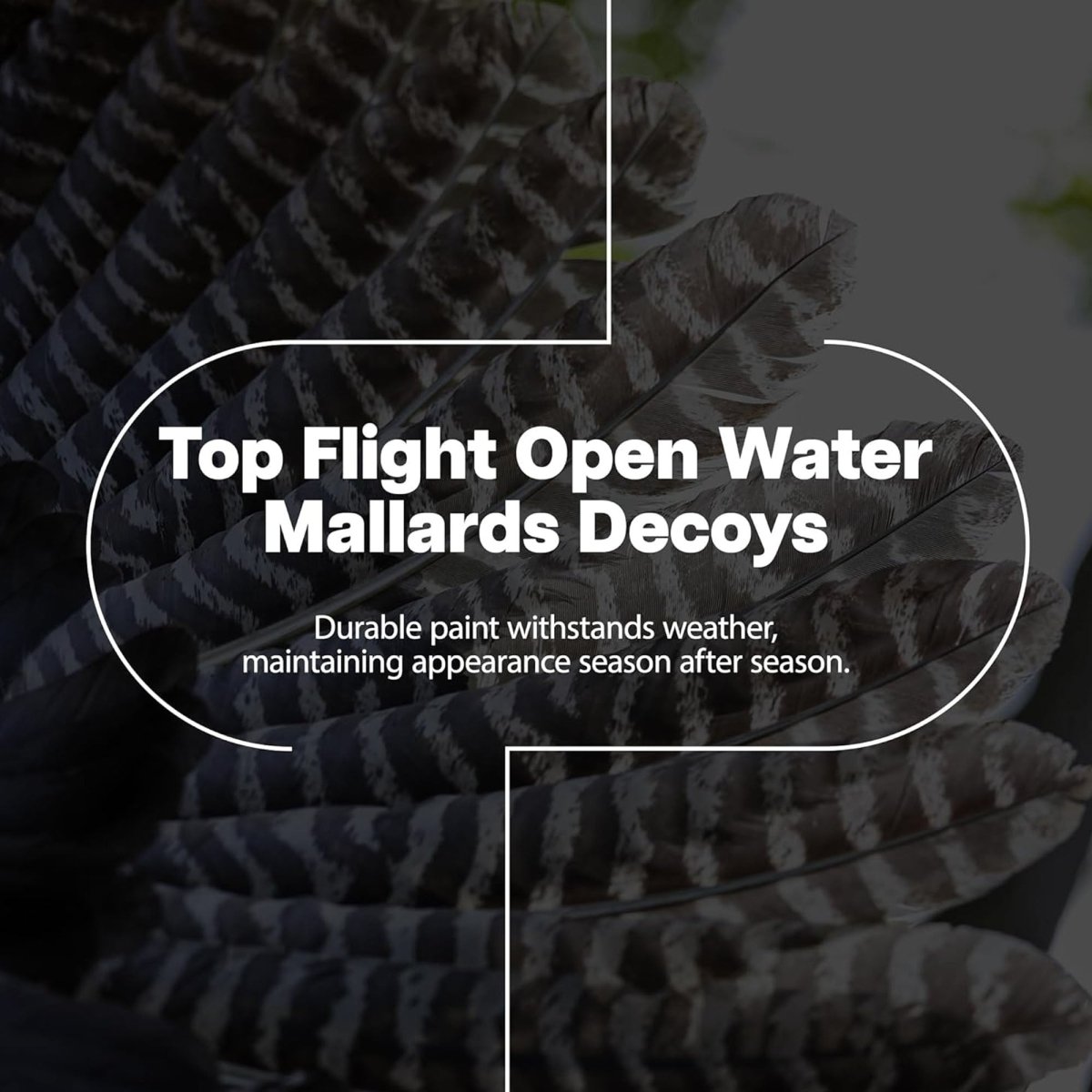 Avian X Topflight Mallards Open Water, Pack of 6 Floating Decoys - Forza Sports