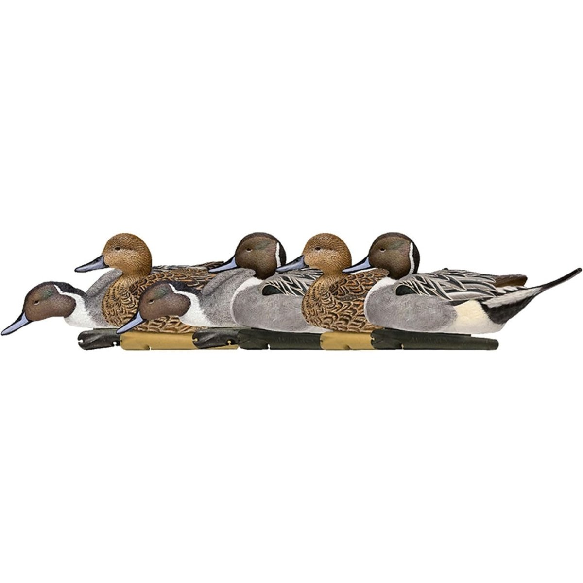 Avian X Topflight Pintails Pack of 6 Floating Decoys - Forza Sports