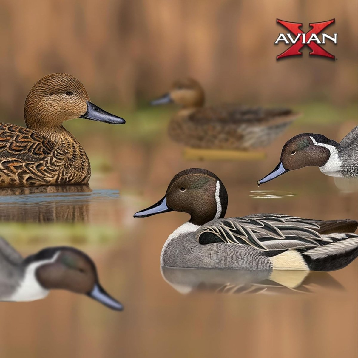 Avian X Topflight Pintails Pack of 6 Floating Decoys - Forza Sports