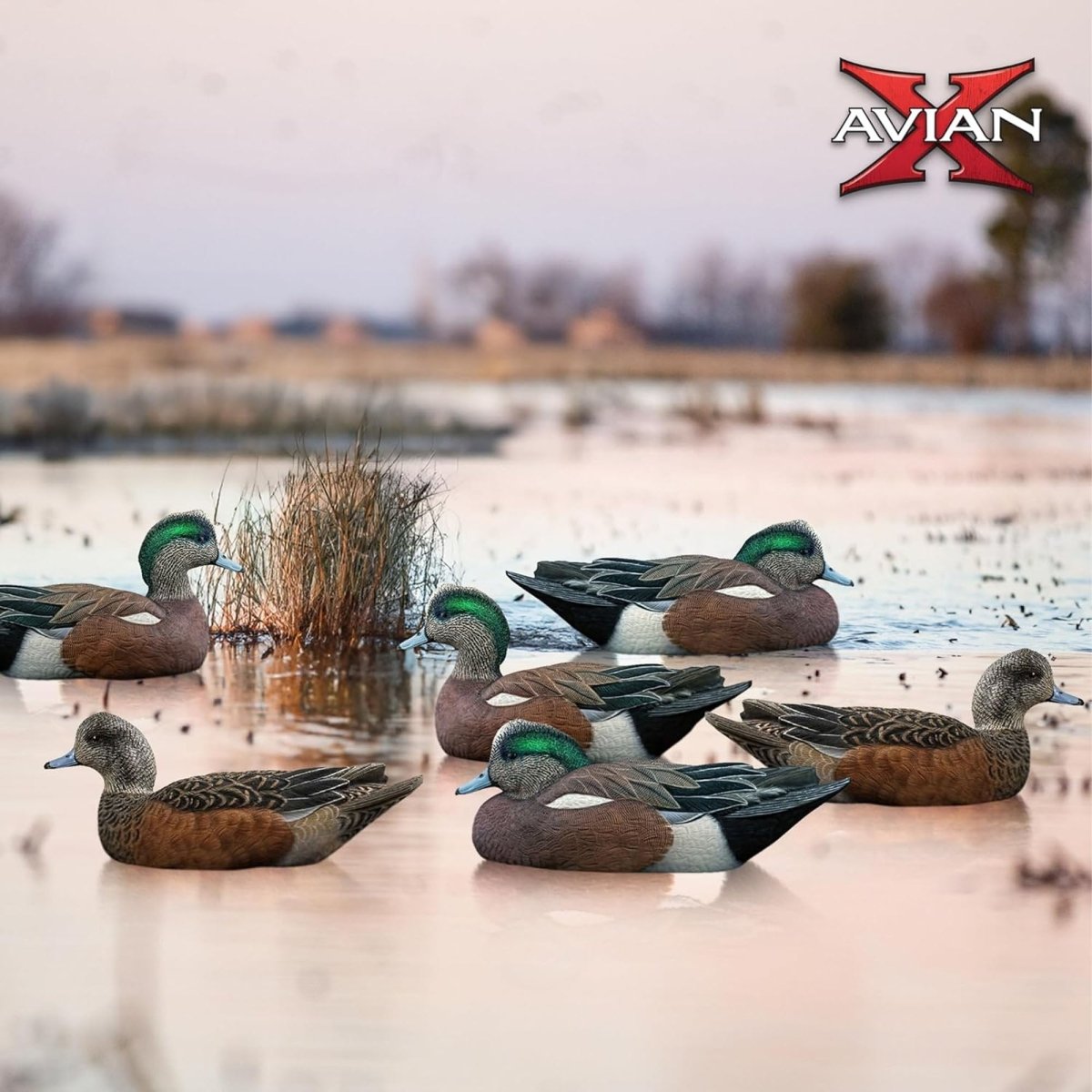 Avian X Topflight Wigeon Pack of 6 Floating Decoys - Forza Sports