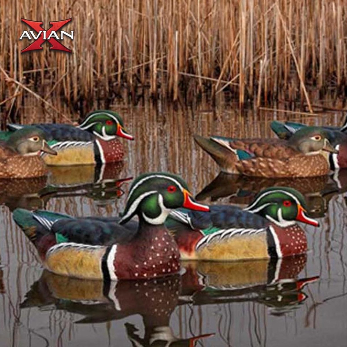 Avian X Topflight Wood Ducks Pack of 6 Floating Decoys - Forza Sports