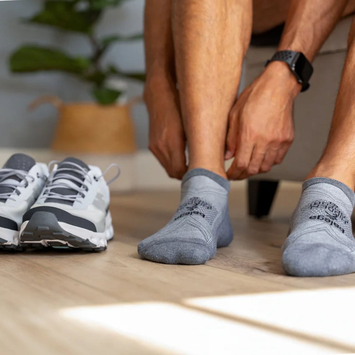 Balega Hidden Comfort No Show Running Socks, Lavender/Skipper Blue - Forza Sports