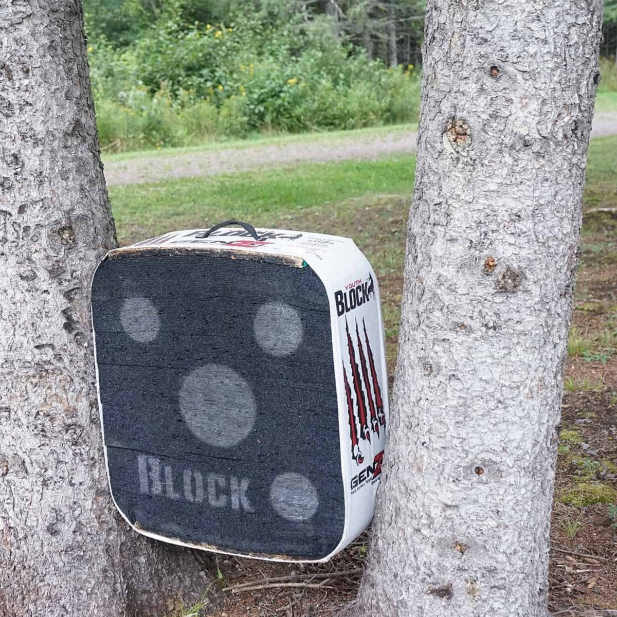 Archery target genz with 'Block' branding leaning against a tree in an outdoor setting
