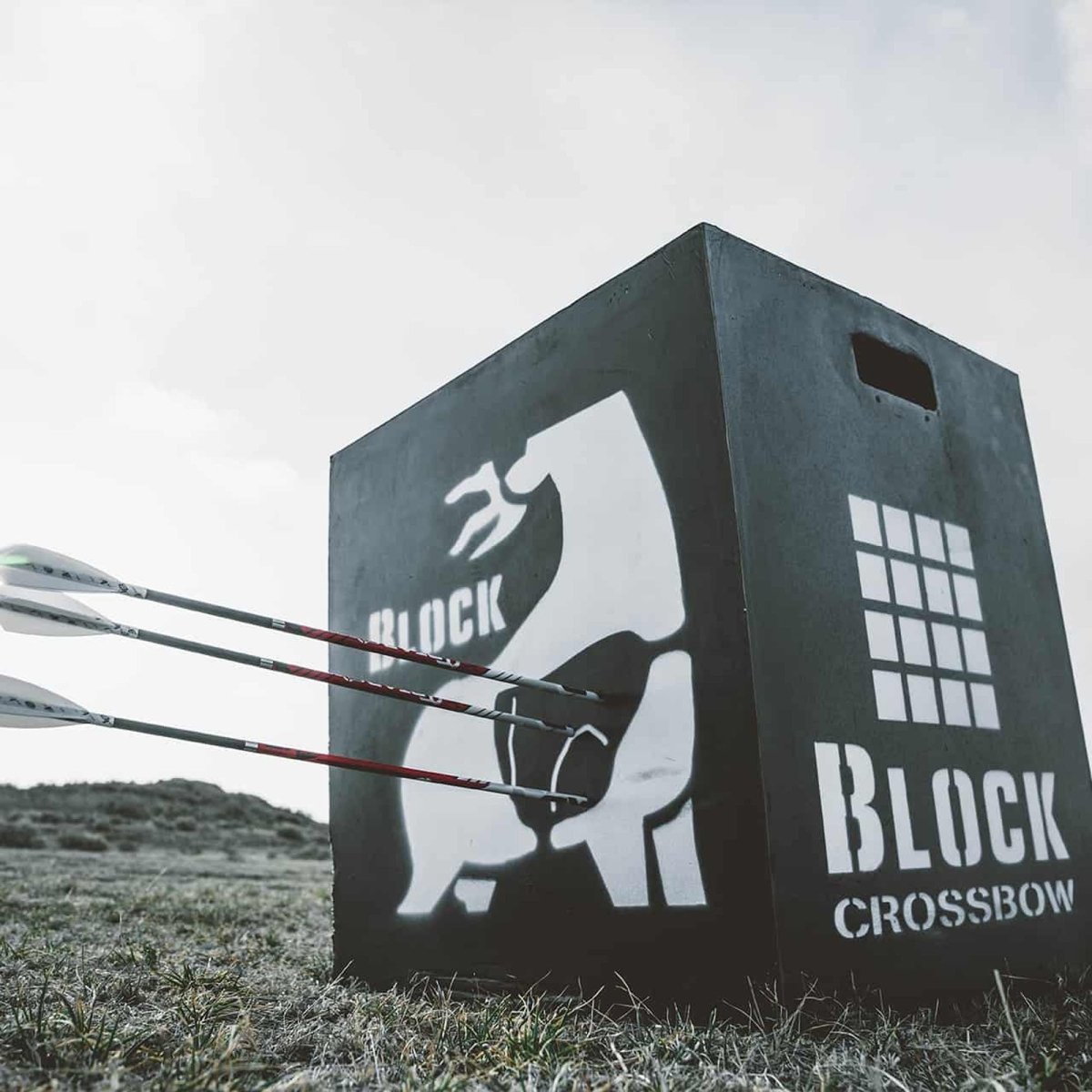 Block Targets Infinity Crossbow - 20" - Forza Sports