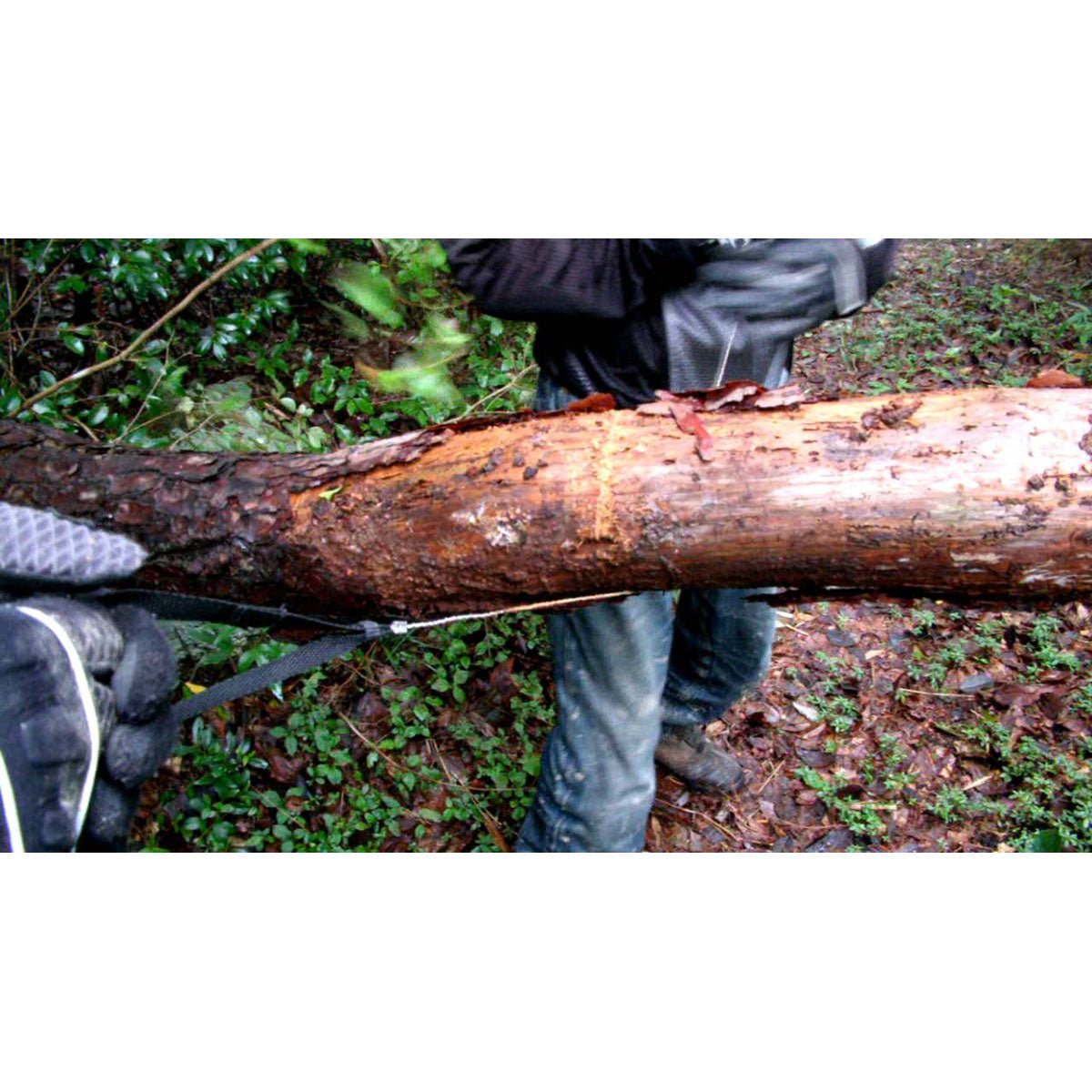 Coghlan's Commando Saw, 20" Wire Cutting Surface, Cuts Wood and Other Material - Forza Sports