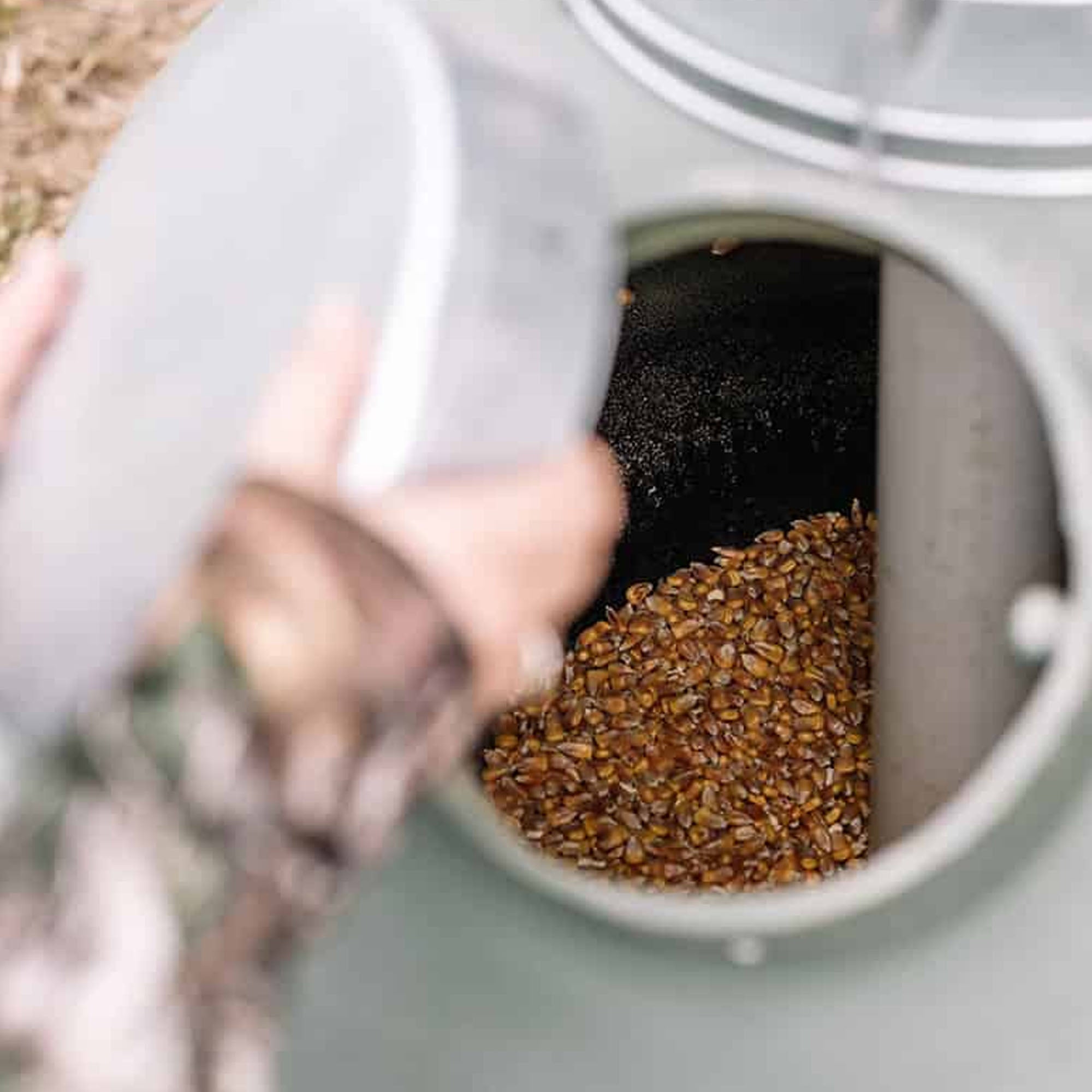 Hand pouring seeds into a container with a blurred natural background