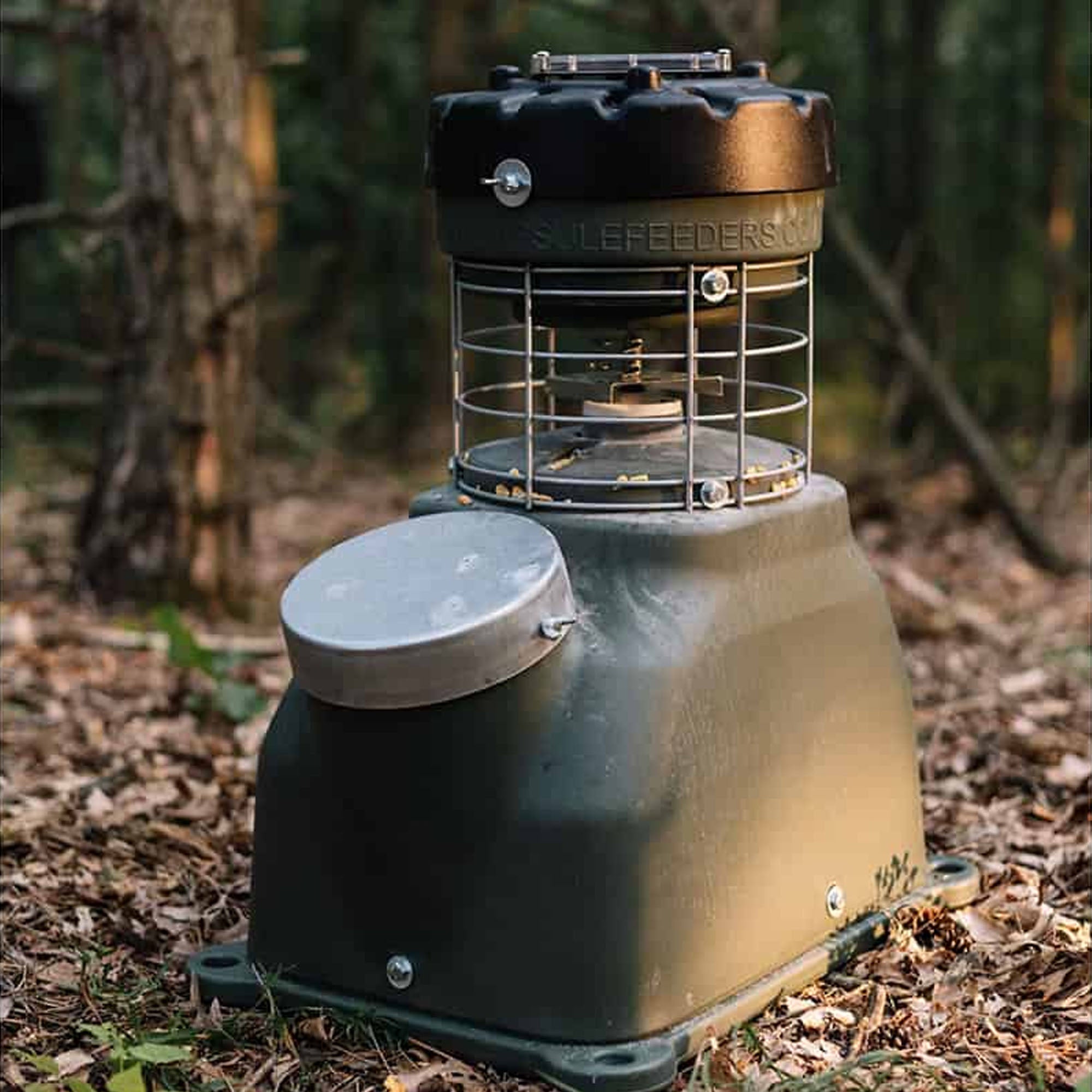 Camp lantern on a forest floor with trees in the background