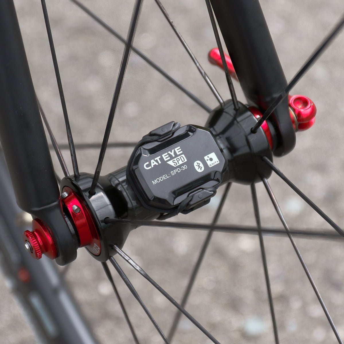 CatEye Bluetooth and ANT+ Magnetless Speed and Cadence Sensor Kit - Black - Forza Sports