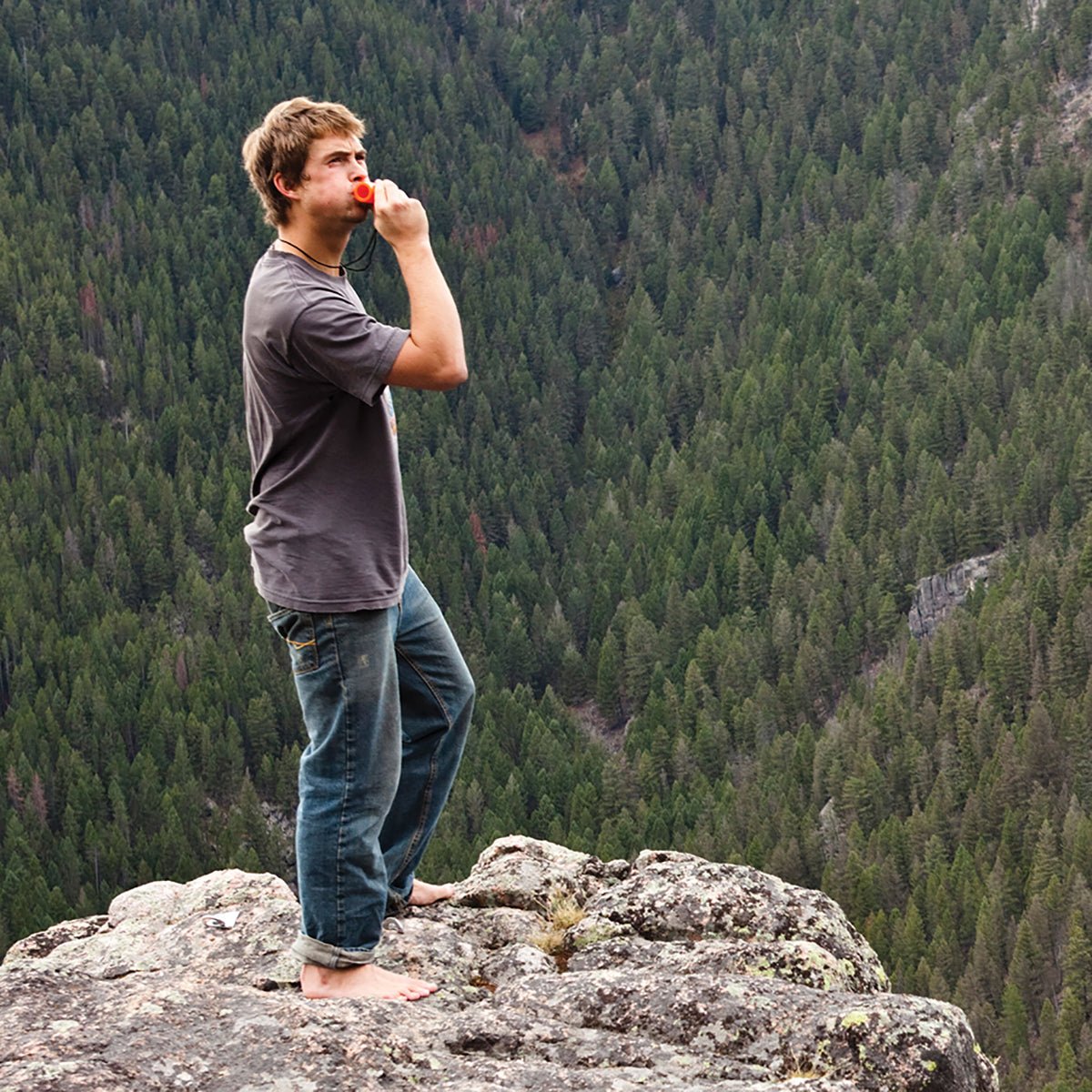 Coghlan's Emergency Survival Horn Animal Alert for Hiking Camping Rescue Whistle - Forza Sports