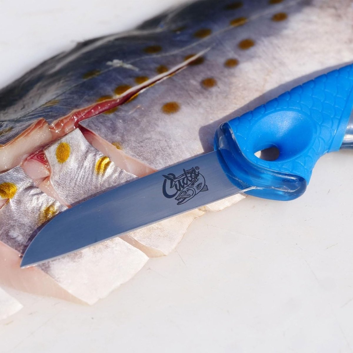 Cuda 2.5" Bait Knife Titanium Bonded - Forza Sports