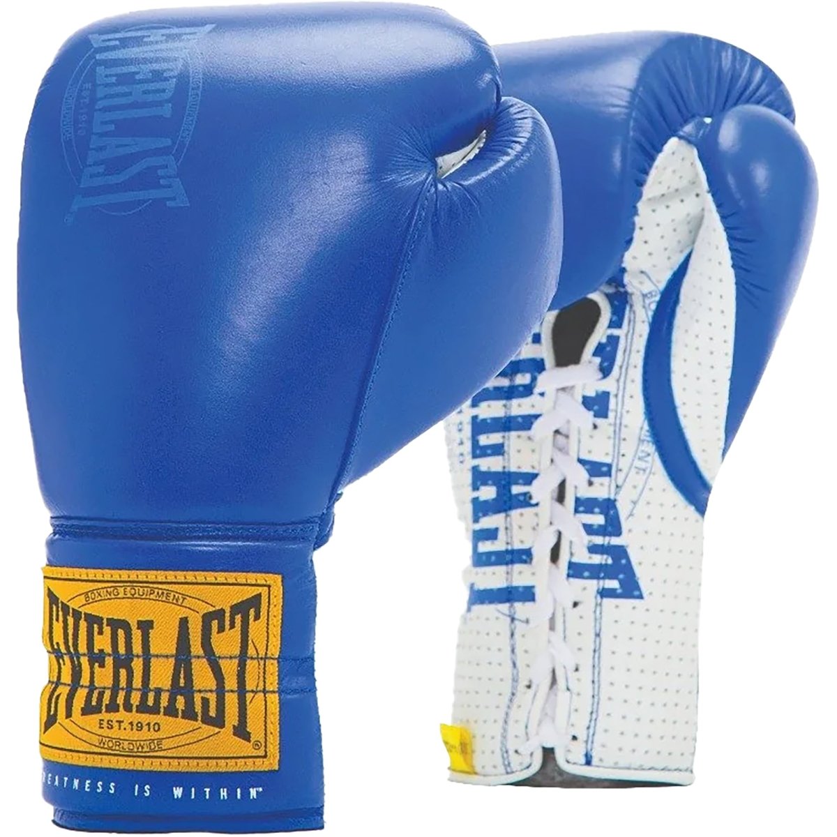 everlast boxing gloves - Blue
