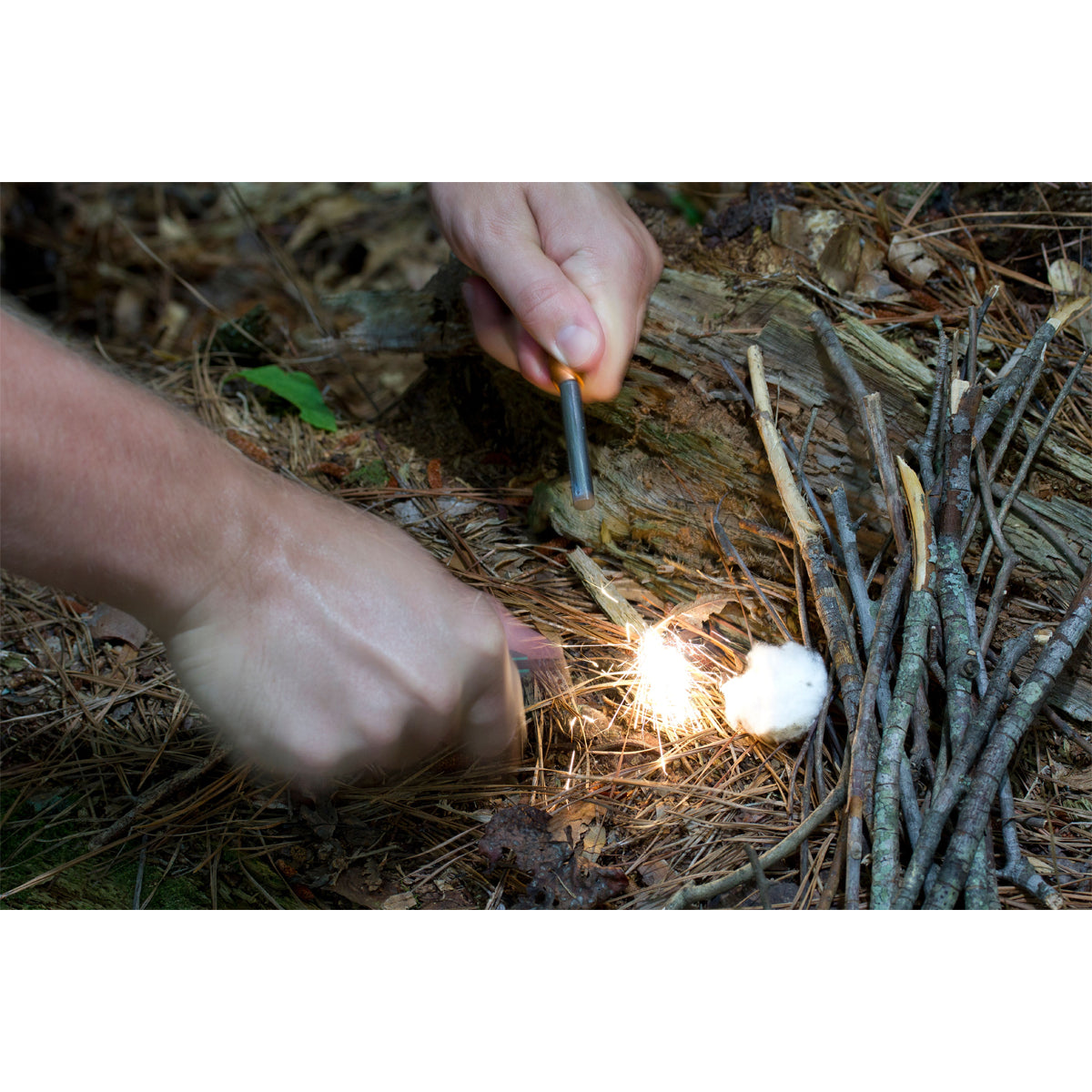 Person starting a fire using matches and kindling in a natural setting