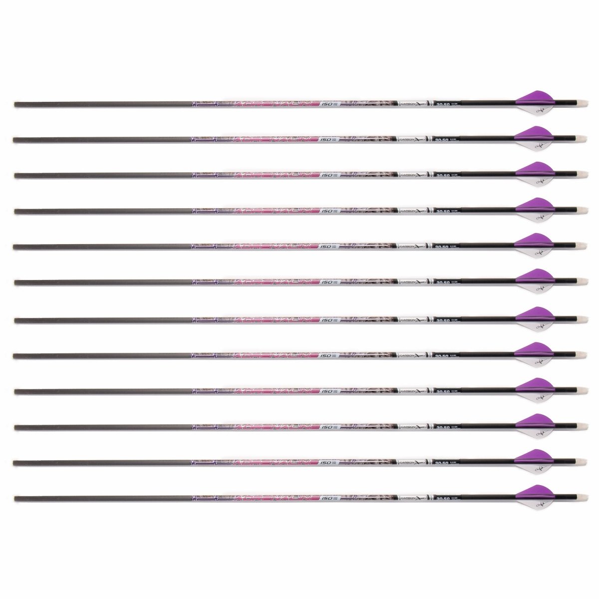 Multiple hot persuit arrows with purple nocks on a white background