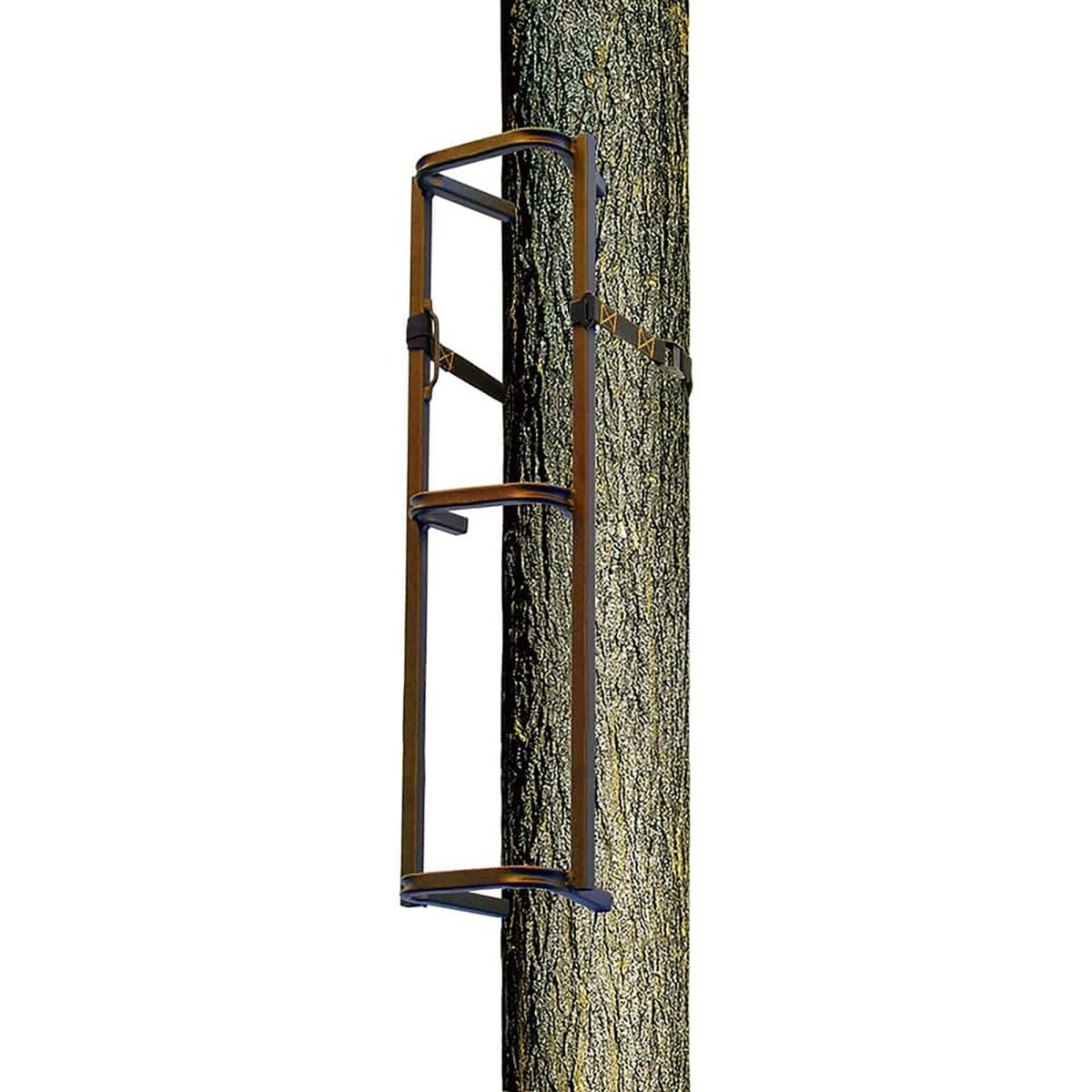 Tree hunting climbing sections attached to a tree trunk on a white background