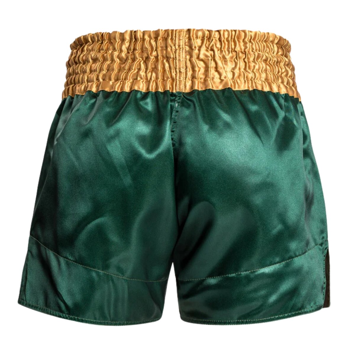 Venum Classic Muay Thai Shorts - Forza Sports