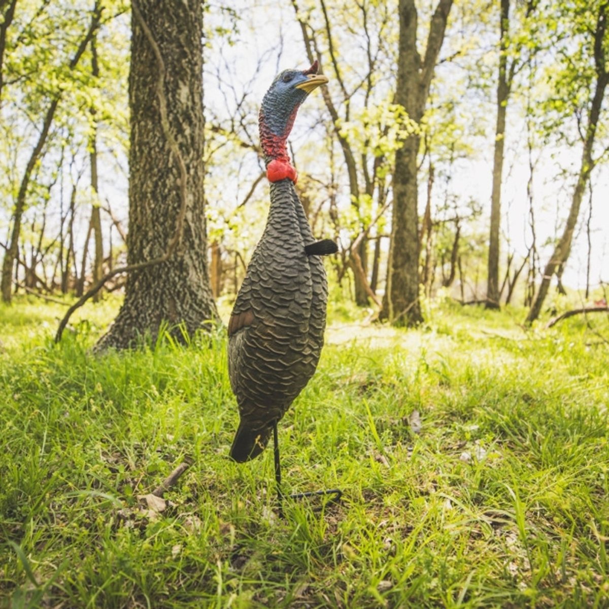 Flextone Hunting Funky Chicken Gen .2 - Forza Sports